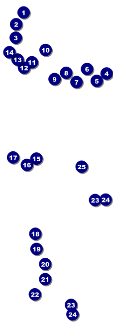 Cash Raffle Ticket 0007 Front Field Markers