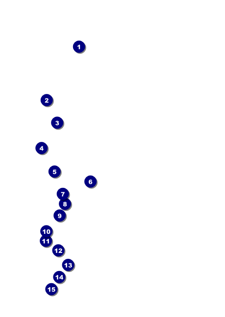 Year Gold Semi-Formal Postcard Front Field Markers