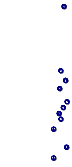 Bowling League Hang Tag Front Field Markers