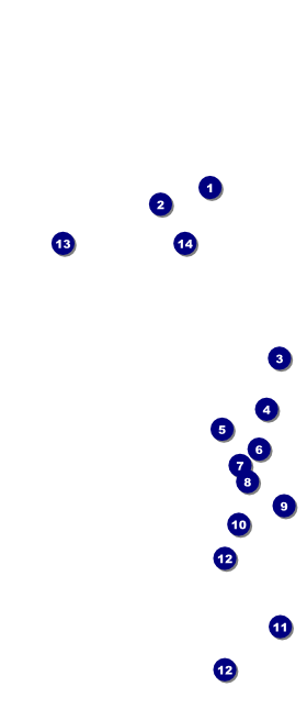 Classical Music Hang Tag Front Field Markers