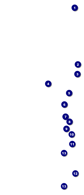 Lymphoma Hang Tag Front Field Markers