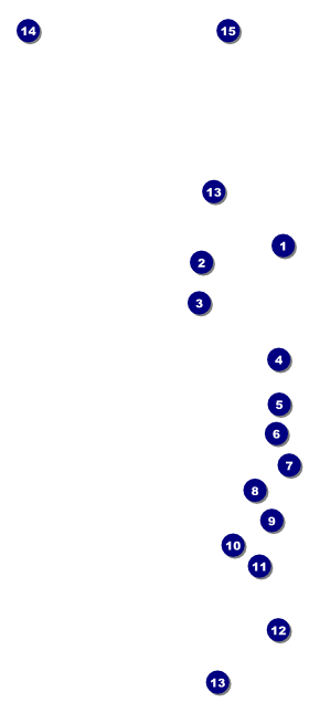 Chocolate Hang Tag Front Field Markers