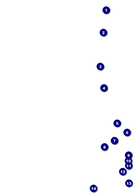 Black Friday Sale Postcard Mailer Front Field Markers