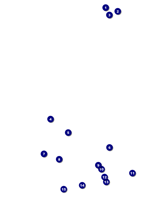 Chinese New Year Flower Snake Flyer Front Field Markers