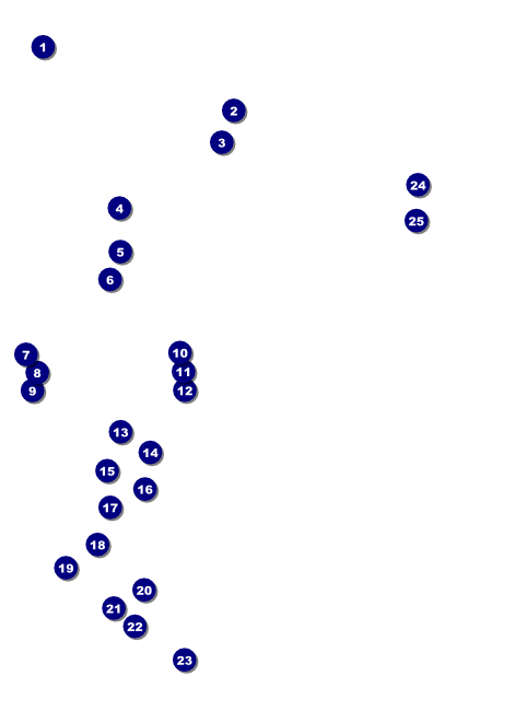 Fourth of July Hometown Flyer Front Field Markers