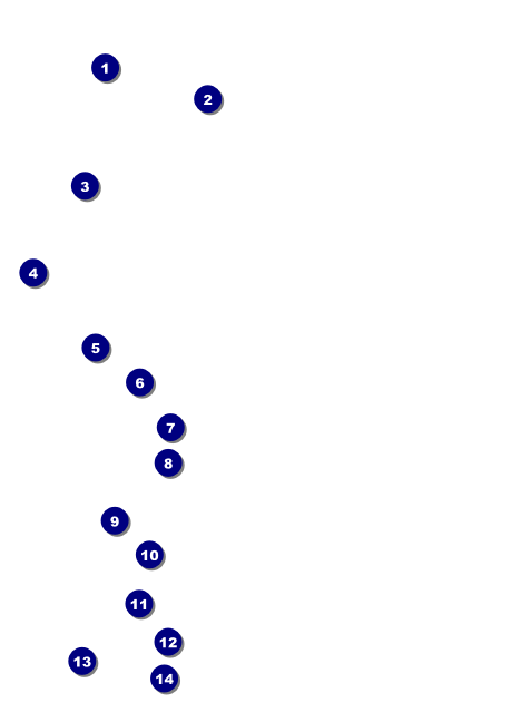 Palm Tree Postcard Front Field Markers