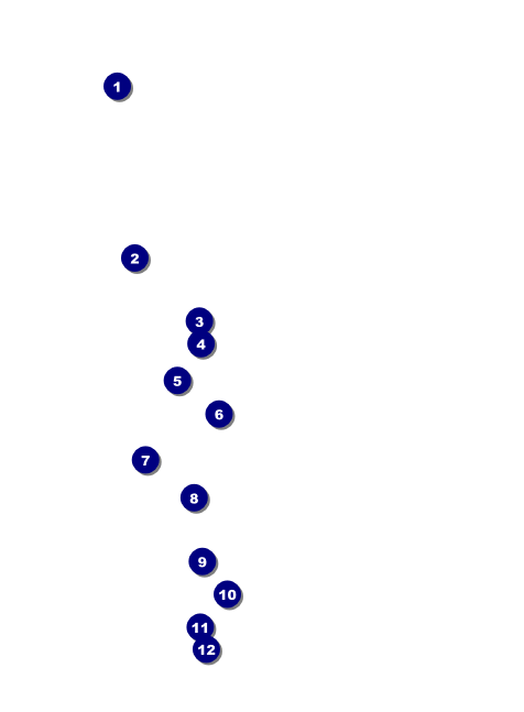 Car Show Speed Dial Invitation Front Field Markers