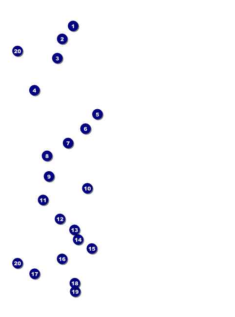 Year Flyer (Black) Front Field Markers