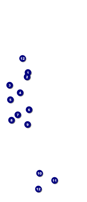 St Patrick's Day Colored Hang Tag Front Field Markers