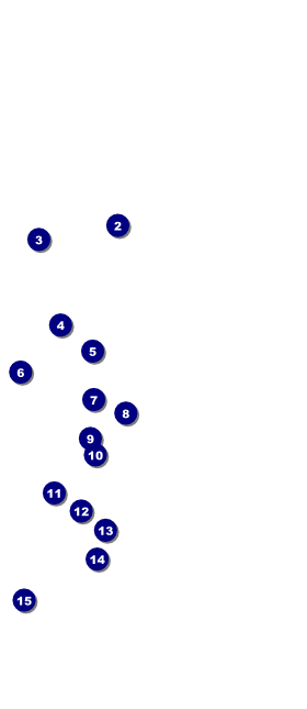 MMA The Fight Night Hang Tag Front Field Markers