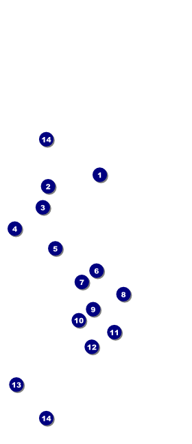 Stand Up Comedy Hang Tag Front Field Markers