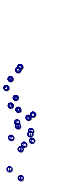 Graduation - Blue and Yellow Hang Tag Front Field Markers