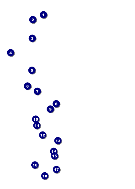 Graduation - Blue and Yellow Postcard Front Field Markers