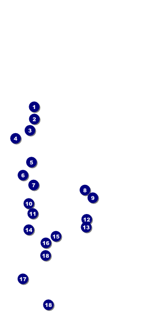 Graduation - Green Hang Tag Front Field Markers