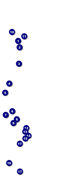 Bingo Bonanza Extravaganza Hang Tag Front Field Markers