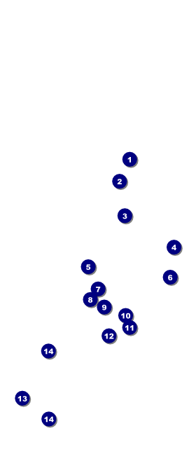 Softball Brown Hang Tag Front Field Markers