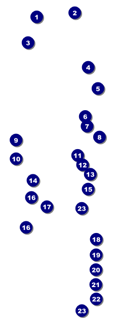 Bingo Bonanza Extravaganza Raffle Ticket Front Field Markers
