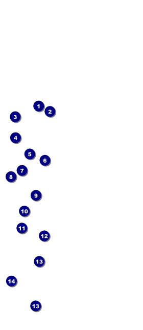 Military Ball - The Salute Hang Tag Front Field Markers