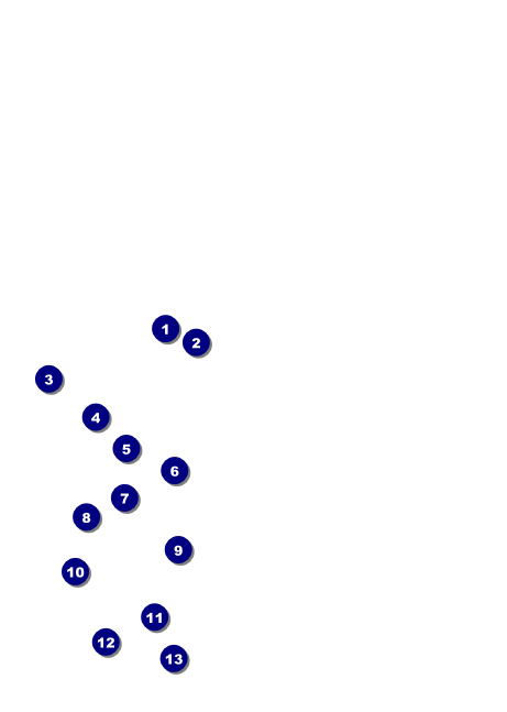 Military Ball - The Salute Postcard Front Field Markers