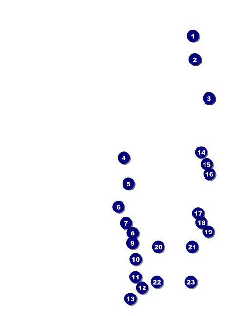 Disco Dance Festival Postcard Mailer Front Field Markers