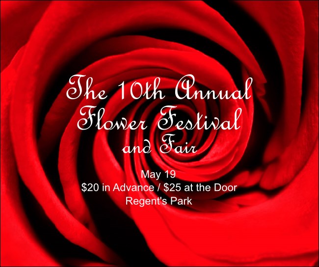 Red Rose Facebook Post