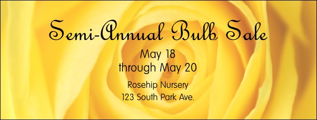 Yellow Rose Facebook Cover