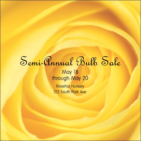 Yellow Rose Instagram Post