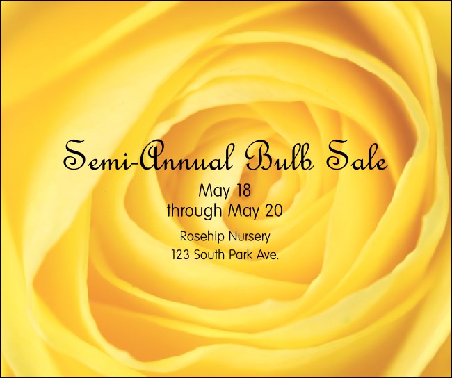 Yellow Rose Facebook Post