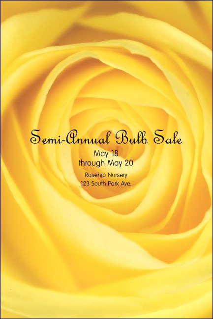 Yellow Rose Pinterest Post