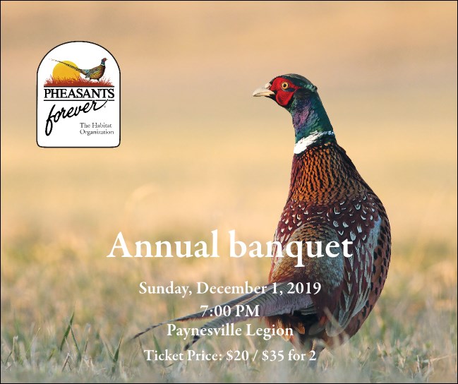 Ringneck Facebook Post