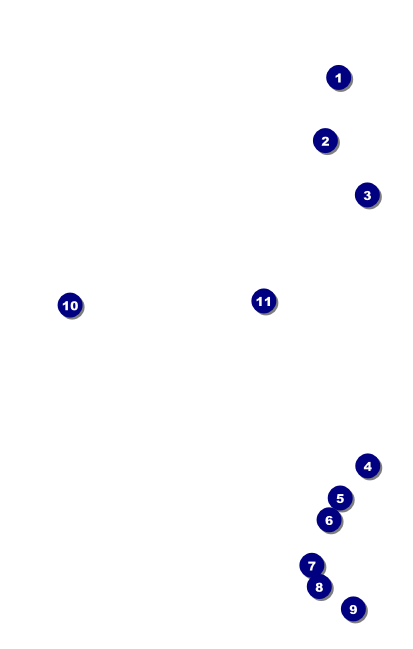 Abstract VIP Event Badge Medium Front Field Markers