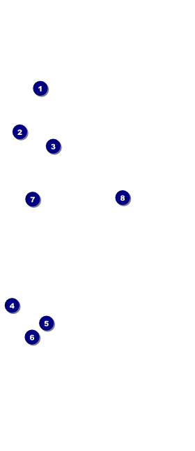 All Purpose Blue Skyline VIP Event Badge Large Front Field Markers