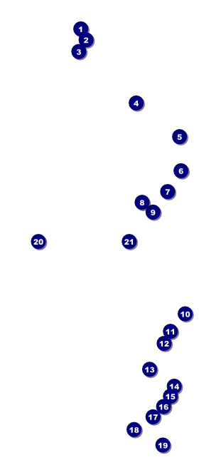 All Purpose Clouds VIP Event Badge Large Front Field Markers