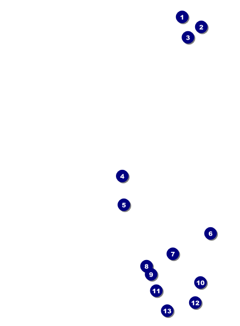 Chinese New Year Rat Invitation Front Field Markers