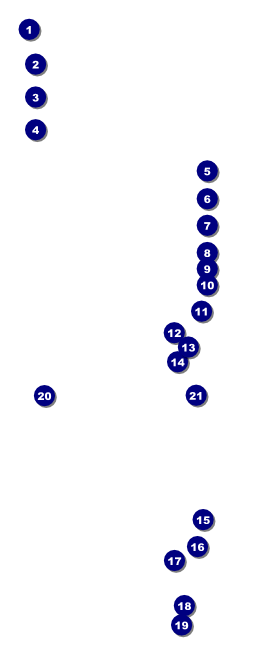 Fundraising Thermometer VIP Event Badge Large VIP Event Badge Large Front Field Markers