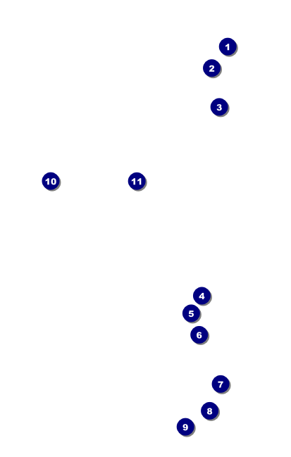 Fundraising Thermometer VIP Event Badge Medium VIP Event Badge Medium Front Field Markers
