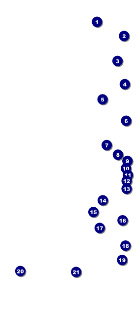 Gold Glitter VIP Event Badge Large VIP Event Badge Large Front Field Markers