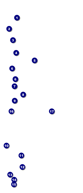 Mixed Martial Art VIP Event Badge Large VIP Event Badge Large Front Field Markers