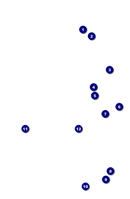 Diamonds Black 2 VIP Event Badge Small Front Field Markers