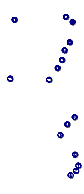 Roaring 20s VIP Event Badge Large VIP Event Badge Large Front Field Markers