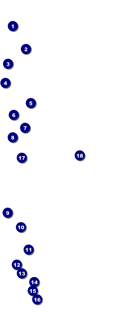 Haunted House VIP Event Badge Large Front Field Markers