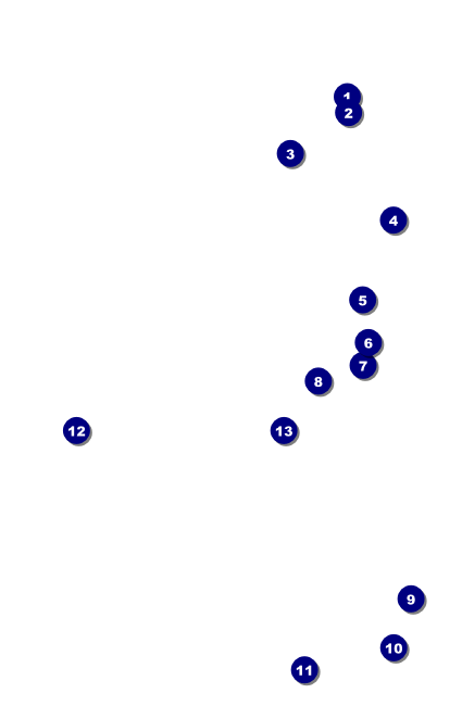 All Purpose Circle VIP Event Badge Small Front Field Markers
