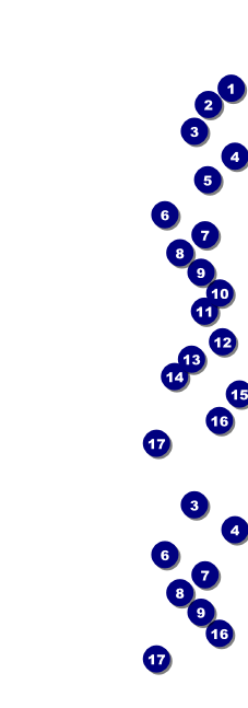 Performing Arts Event Ticket Front Field Markers