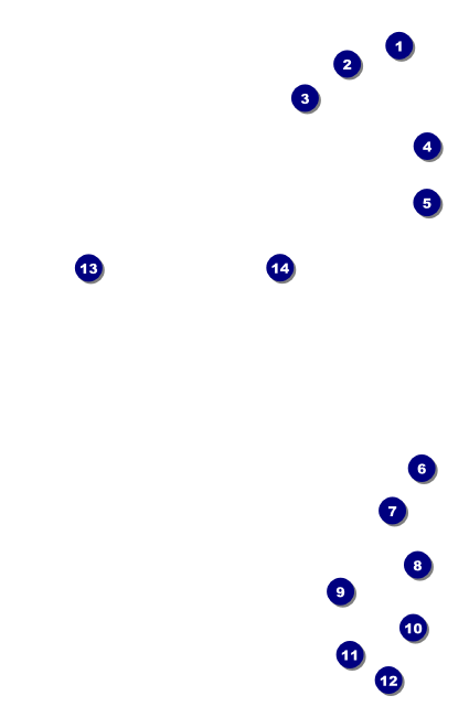 Red VIP Event Badge Small Front Field Markers