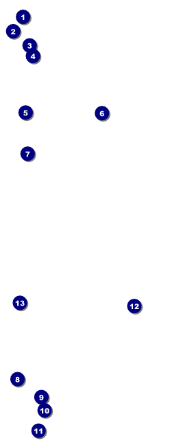 Austin Music VIP Event Badge Large Front Field Markers