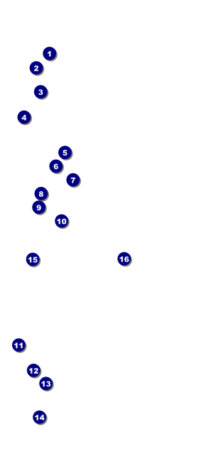 Choral VIP Event Badge Large Front Field Markers