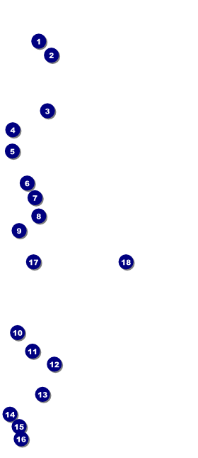 Christmas Angel VIP Event Badge Large Front Field Markers