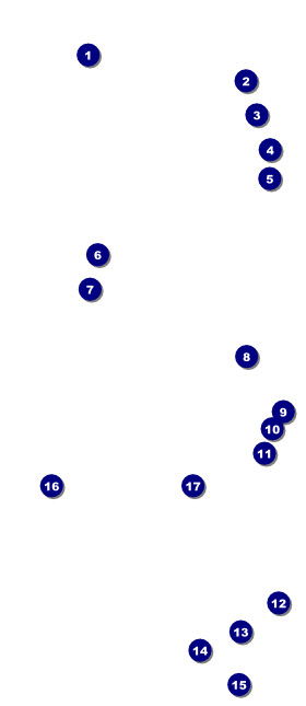 Contemporary Mixed Martial Arts VIP Event Badge Large Front Field Markers