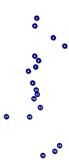 Comedy Retro VIP Event Badge Large Front Field Markers