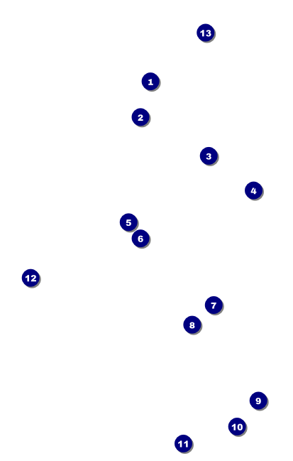 Comedy Retro VIP Event Badge Medium Front Field Markers